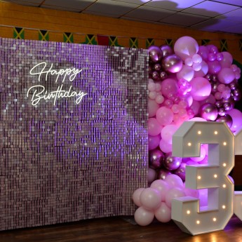 diandra 33rd birthday